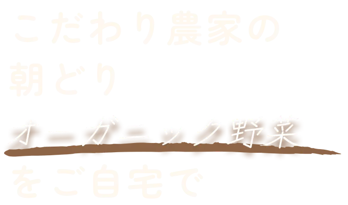 こだわり農家の朝どりオーガニック野菜をご自宅で