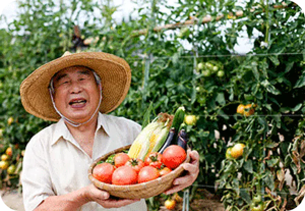 ひだまり農場イメージ