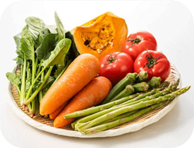べジックス旬お試し野菜セットイメージ