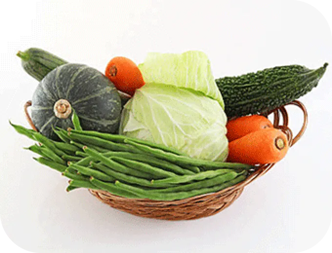 くちぶえ農園旬お試し野菜セットイメージ