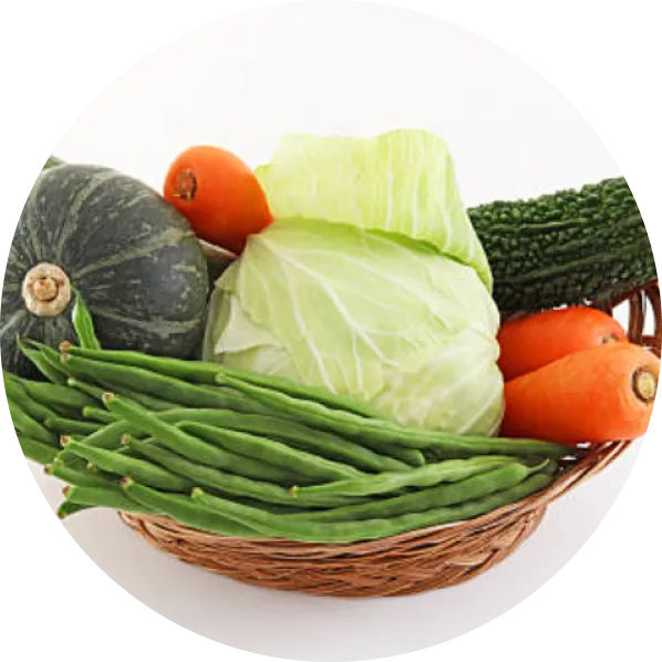 野菜イメージ